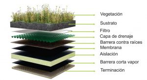 capas-techo-vegetal