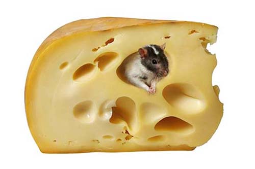 ALGUNOS DATOS CURIOSOS SOBRE EL QUESO