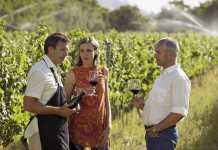 Plantilla Visitas Premium