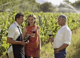 Plantilla Visitas Premium