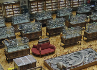 VISITA AL MUSEO DE MINERALOGÍA