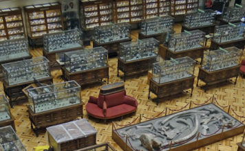 VISITA AL MUSEO DE MINERALOGÍA