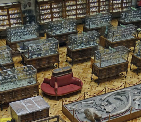 VISITA AL MUSEO DE MINERALOGÍA