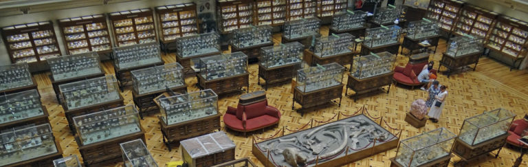 VISITA AL MUSEO DE MINERALOGÍA